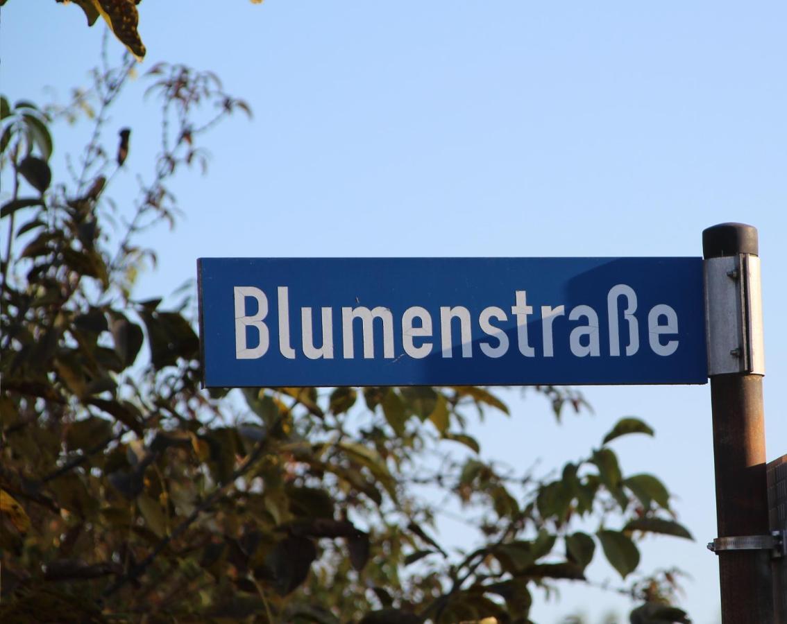 נטטאל Ferienwohnung Auf Der Blumenstrasse מראה חיצוני תמונה